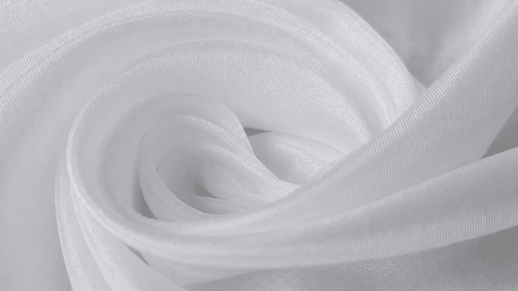 Tabby Organza fabric — raw